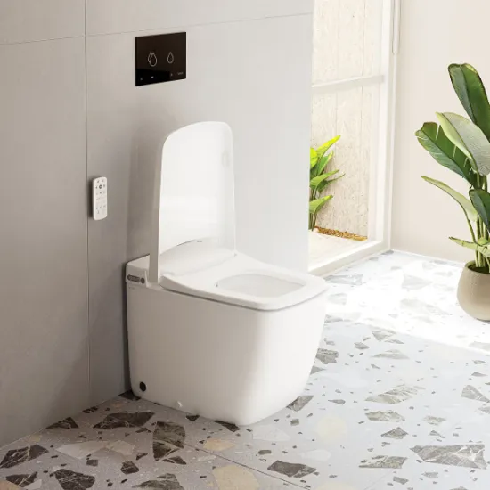 Image de Vitra V-care Prime WC (Blanc)