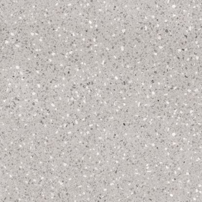 Image de 600X600 TERRAZZO GRI ASG R10 K:9