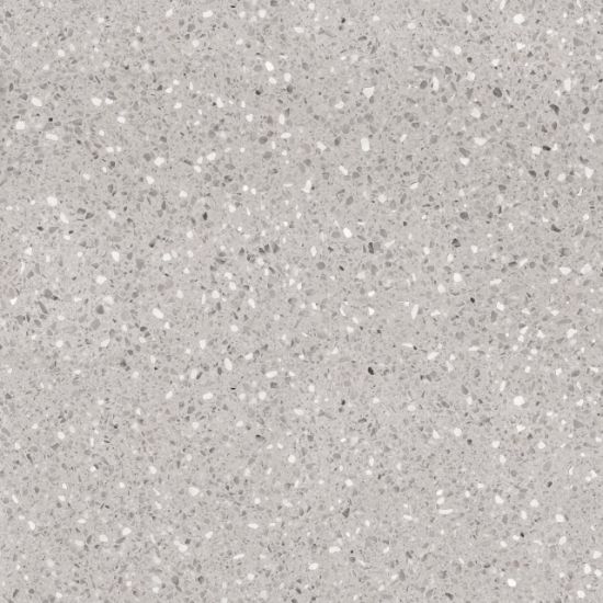 Image de 600X600 TERRAZZO GRI ASG R10 K:9