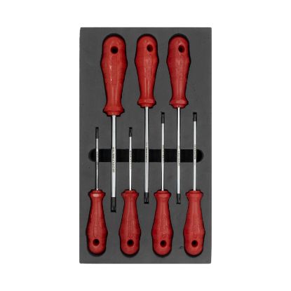 Image de Jeu de tournevis à embout Torx® perforé