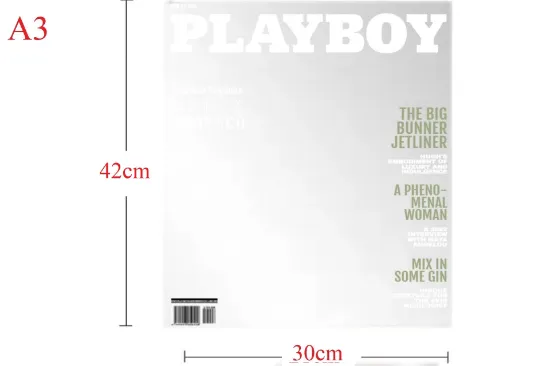 Image de PLAYBOY MAGAZİN KAPAĞI AYNA, 30X42