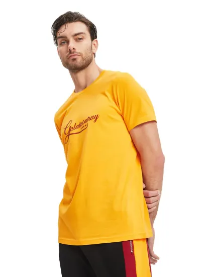 Image de Galatasaray Erkek T-Shirt  