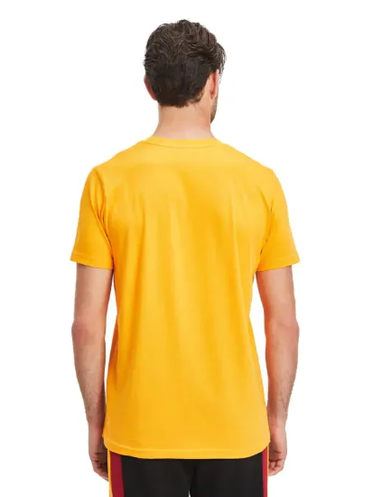 Image de Galatasaray Erkek T-Shirt  