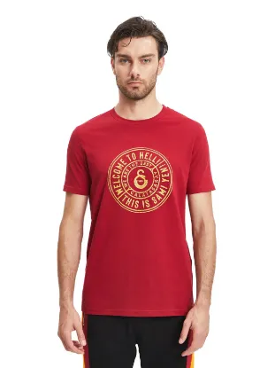 Image de Galatasaray Erkek T-Shirt   