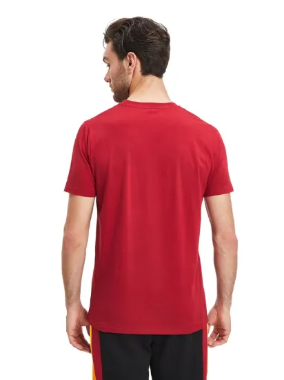 Image de Galatasaray Erkek T-Shirt   