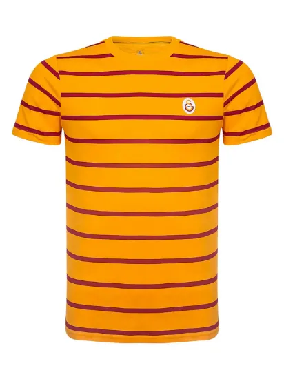 Image de Galatasaray Erkek T-Shirt   