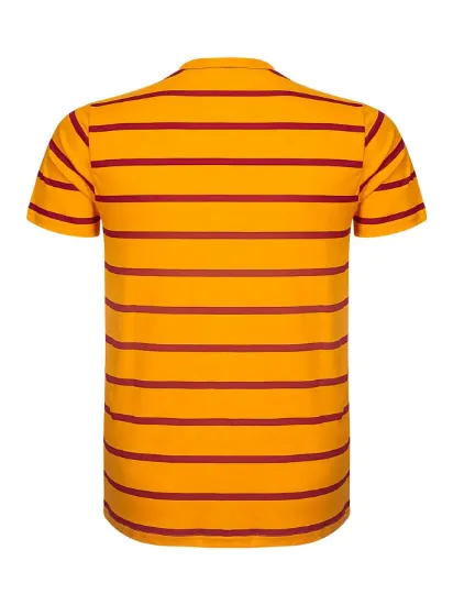 Image de Galatasaray Erkek T-Shirt   