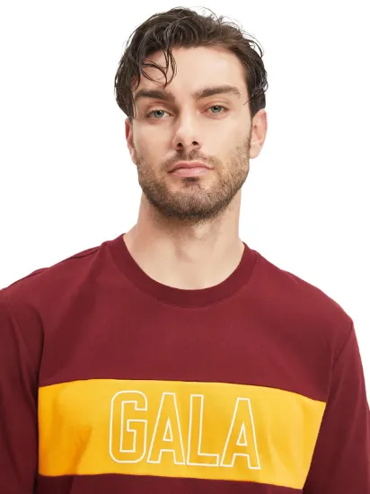 Image de Galatasaray Erkek T-Shirt 