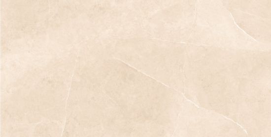 Image de SWINDON Serisi Ürünler-60x120 SWINDON BEIGE