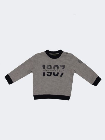 Image de 1907 Fenerbahçe Gri Melanj Sweatshirt