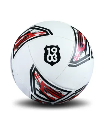 Image de BEŞİKTAŞ NEWFORCE-01 FUTBOL TOPU