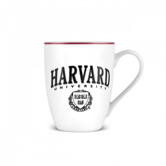 Image de Karaca Harvard Kupa 350 Ml Siyah Kırmızı